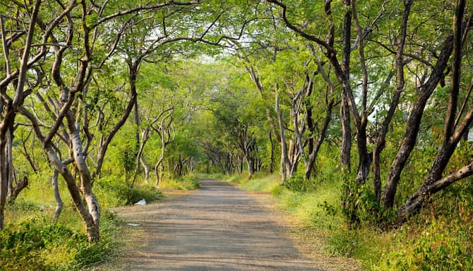 Blog images - 2025 VOL 2 - GettyImages