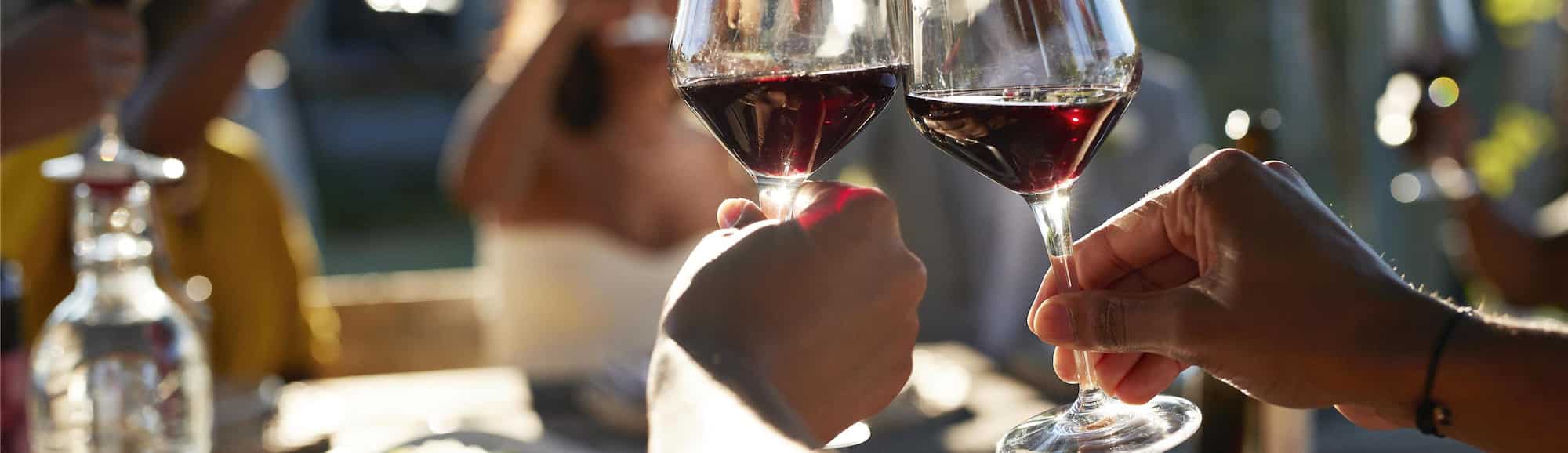 Blog images - 2025 VOL 2 - Discover the charm of Nashik vineyards