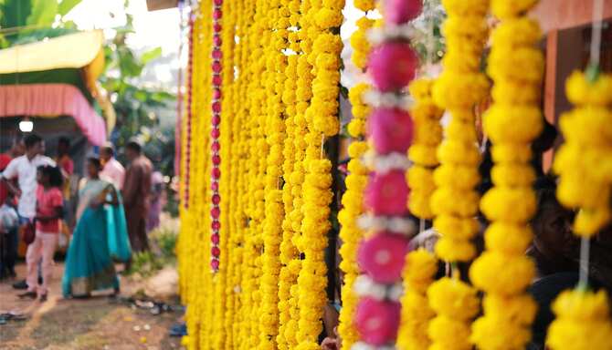 Blog images - 2025 VOL 2 - GettyImages