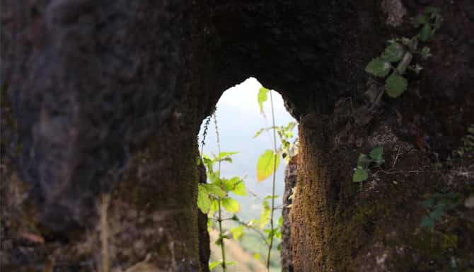 Blog images - 2025 VOL 2 - GettyImages