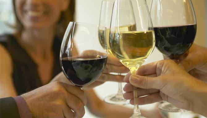 Blog images - 2025 VOL 2 - Mountain View Winery A Scenic Delight