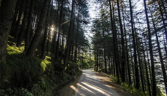 Blog images - 2025 VOL 2 - GettyImages