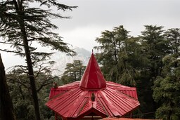 Blog images - 2025 VOL 2 - Shimla temples a journey through serenity