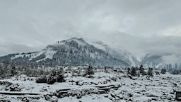 Blog images - 2025 VOL 2 - Day trips from Shimla Discover Hidden Gems