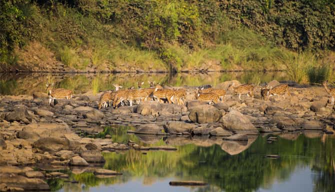 Blog images - 2025 VOL 2 - GettyImages