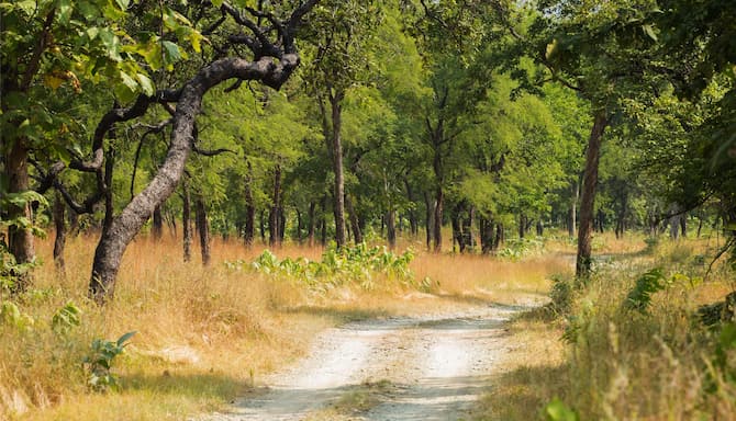 Blog images - 2025 VOL 2 - GettyImages