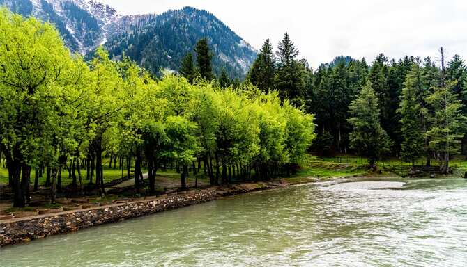 Blog images - 2025 VOL 2 - GettyImages