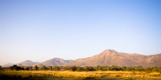 Blog images - 2025 VOL 2 - GettyImages