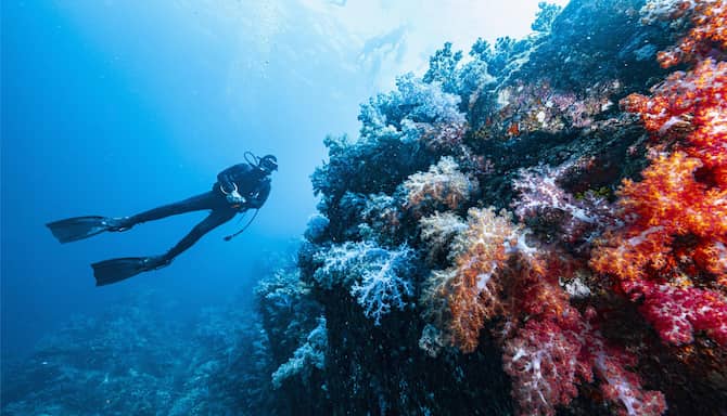 Blog images - 2025 VOL 2 - GettyImages