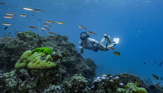 Blog images - 2025 VOL 2 - GettyImages