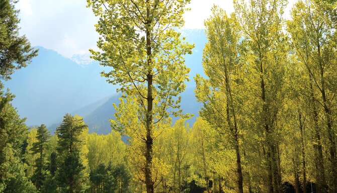 Blog images - 2025 VOL 2 - GettyImages