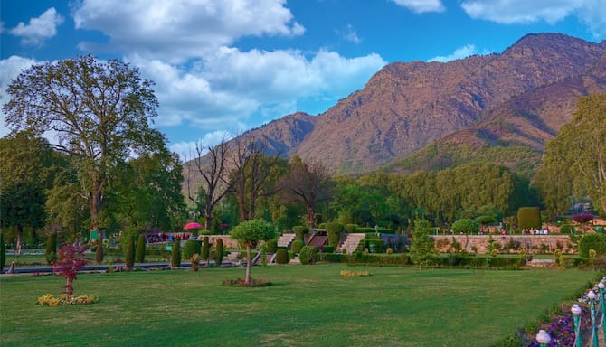 Blog images - 2025 VOL 2 - GettyImages