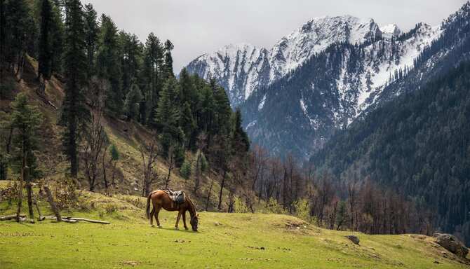 Blog images - 2025 VOL 2 - GettyImages