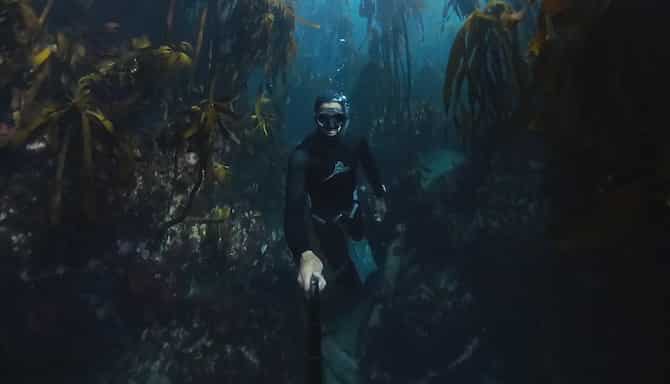 Blog images - 2025 VOL 3 - PSX