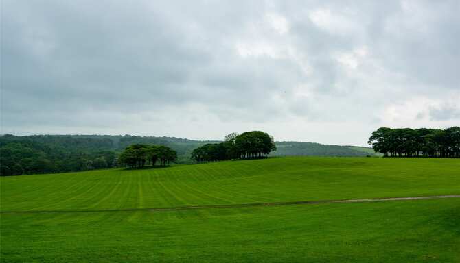 Blog images - 2025 VOL 3 - GettyImages