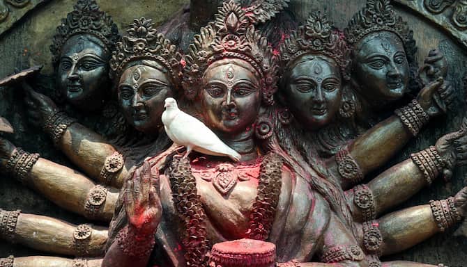 Blog images - 2025 VOL 3 - GettyImages