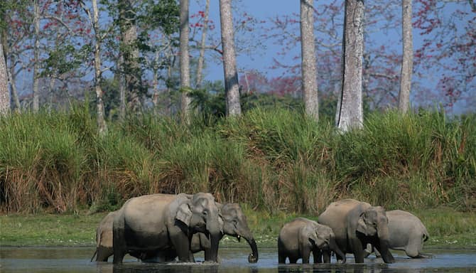 Blog images - 2025 VOL 3 - GettyImages