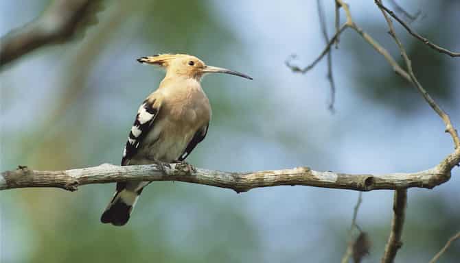 Blog images - 2025 VOL 3 - GettyImages