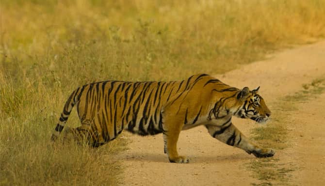 Blog images - 2025 VOL 3 - GettyImages