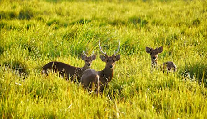 Blog images - 2025 VOL 3 - GettyImages