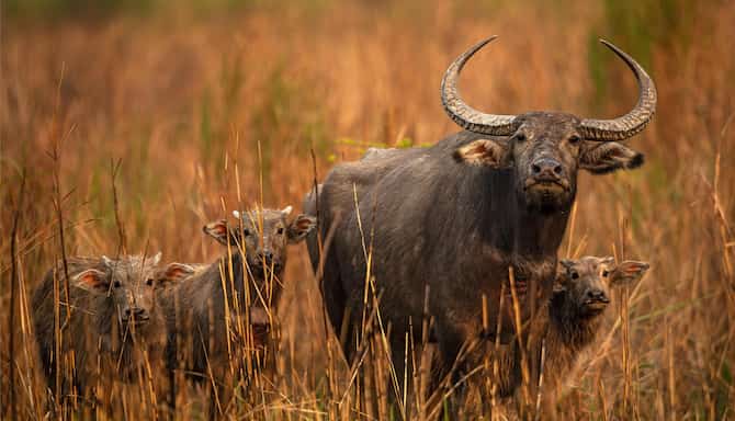 Blog images - 2025 VOL 3 - GettyImages