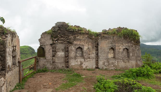 Blog images - 2025 VOL 3 - GettyImages