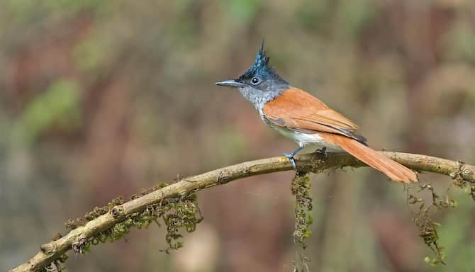 Blog images - 2025 VOL 3 - GettyImages