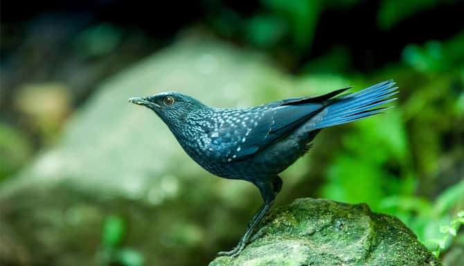 Blog images - 2025 VOL 3 - GettyImages