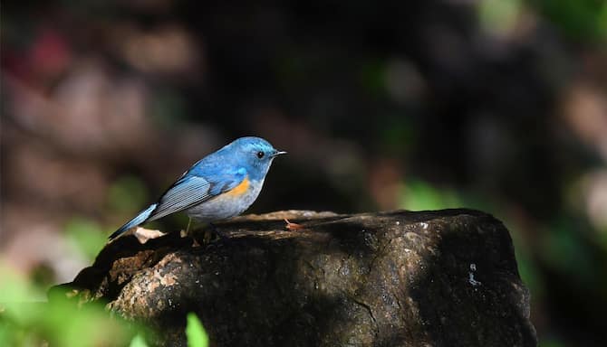 Blog images - 2025 VOL 3 - GettyImages