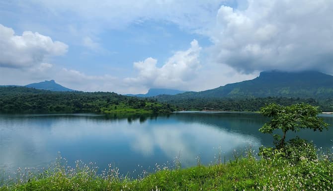 Blog images - 2025 VOL 3 - GettyImages