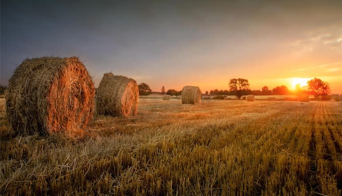 Blog images - 2025 VOL 3 - GettyImages