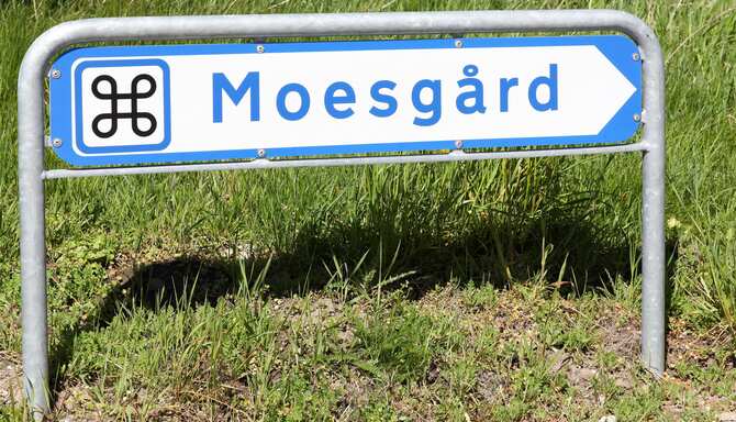 Blog images - 2025 VOL 3 - GettyImages