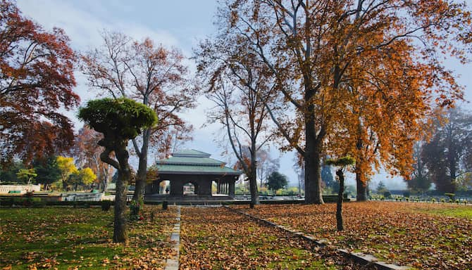 Blog images - 2025 VOL 3 - GettyImages