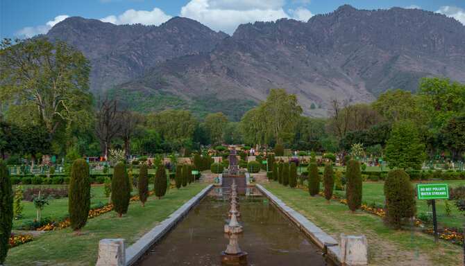 Blog images - 2025 VOL 3 - GettyImages