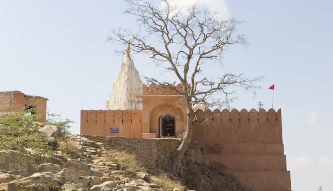 Blog images - 2025 VOL 3 - GettyImages sbk