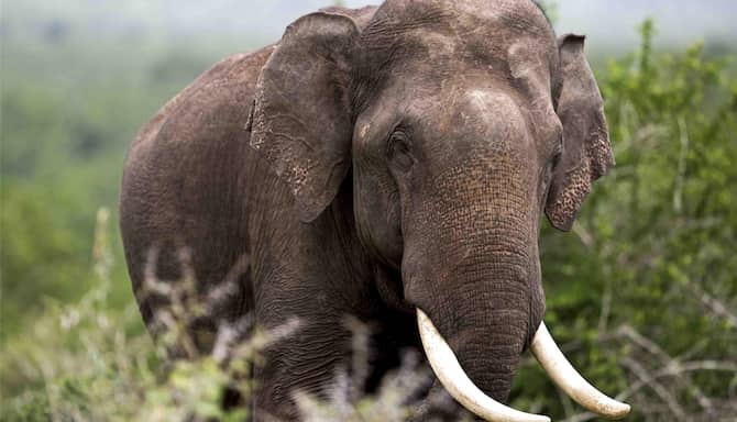 Blog images - 2025 VOL 3 - GettyImages