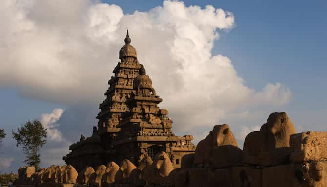 Blog images - 2025 VOL 3 - GettyImages