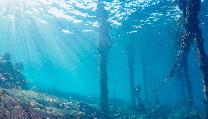 Blog images - 2025 VOL 3 - GettyImages