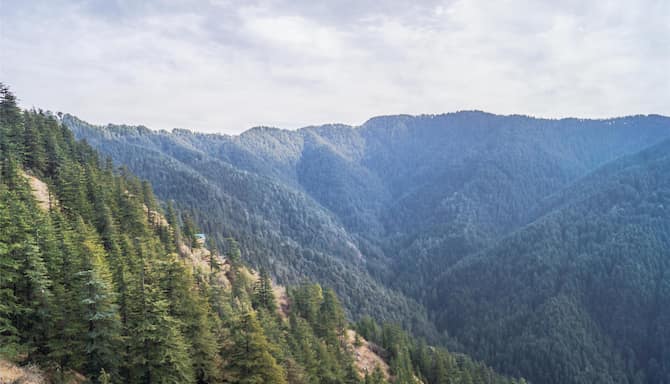 Blog images - 2025 VOL 3 - GettyImages