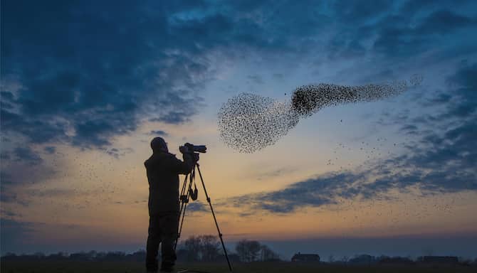 Blog images - 2025 VOL 3 - GettyImages