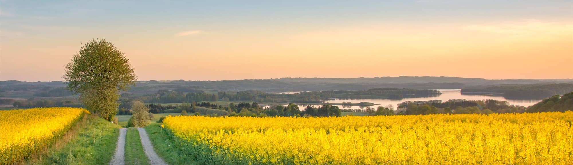 Blog images - 2025 VOL 3 - Day trips from Aarhus Discover hidden gems