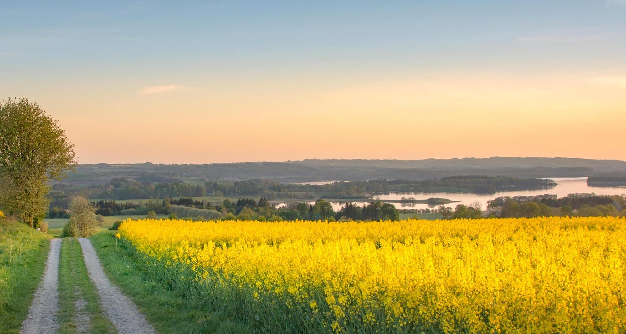 Blog images - 2025 VOL 3 - Day trips from Aarhus Discover hidden gems