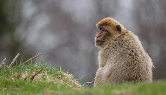 Blog images - 2025 VOL 3 - GettyImages