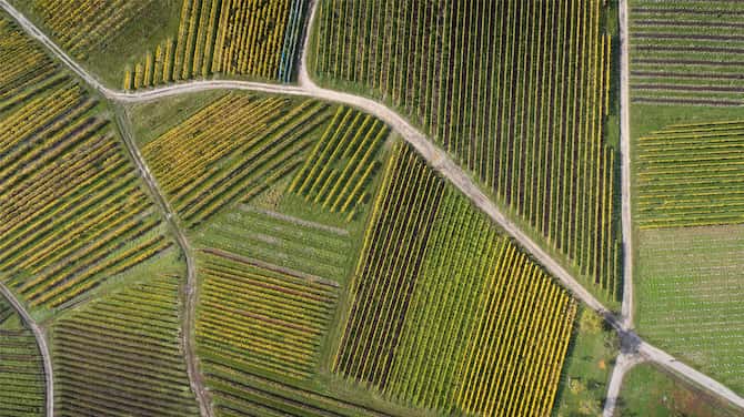 Blog images - 2025 VOL 3 - GettyImages