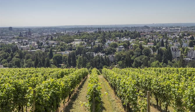 Blog images - 2025 VOL 3 - GettyImages