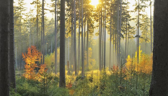 Blog images - 2025 VOL 3 - GettyImages