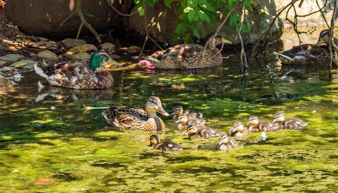 Blog images - 2025 VOL 3 - GettyImages