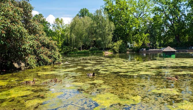 Blog images - 2025 VOL 3 - GettyImages