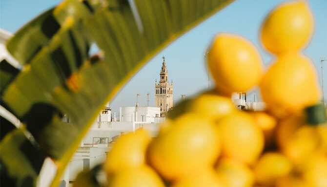 Blog images - 2025 VOL 3 - The Real Housewives of Miami Experiences Activation Content BC Event Radisson Collection