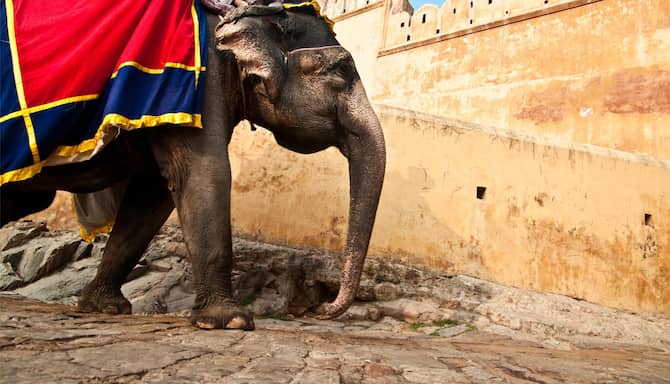 Blog images - 2025 VOL 3 - GettyImages